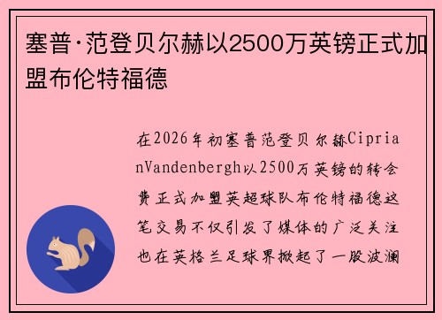 塞普·范登贝尔赫以2500万英镑正式加盟布伦特福德 塞普·范登贝尔赫以2500万英镑正式加盟布伦特福德
